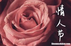 2024傳統(tǒng)情人節(jié)浪漫祝福語大全浪漫的情人節(jié)祝福語