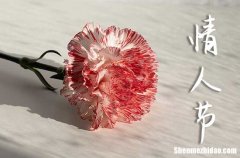 2024年2.14情人節(jié)甜蜜祝福語給閨蜜甜蜜情人節(jié)祝福語