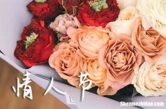 2024年2.14情人節(jié)甜蜜祝福語情人節(jié)一些簡短唯美的祝福語