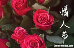 2024年情人節(jié)冗長(zhǎng)祝愿語祝福浪漫的情人語句