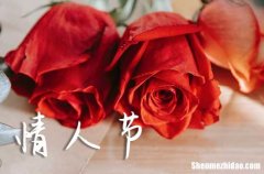 2024送男冤家的情人節(jié)祝愿語(yǔ)情人節(jié)祝福男生節(jié)的祝福語(yǔ)