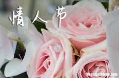 2024送給愛人或閨蜜的情人節(jié)祝福語情人節(jié)最簡單的祝福語一句話