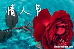 情人節(jié)祝福語2024朋友 給朋友的浪漫祝福語簡短