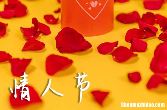 2024网络情人节祝愿语情人节的祝福语大全