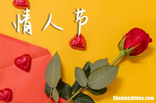 情人節(jié)祝福語大全2024情人節(jié)簡單大方的祝福語