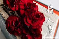 2024.2.14情人節(jié)微信祝福語短信大全[1]情人節(jié)短信祝福語簡(jiǎn)短