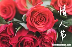 2024年情人節(jié)搞笑祝福語短信大全 情人節(jié)搞笑說說短句爆笑