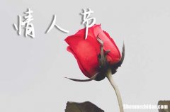 大膽告白祝福語(yǔ) 2024一起過(guò)情人節(jié)