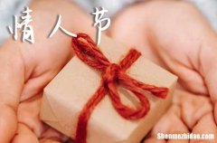 2024年情人節(jié)送玫瑰祝福語(yǔ)大全送情人鮮花祝福語(yǔ)
