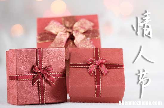 情人節(jié)祝福語大全2024 情人節(jié)祝福語最溫馨的話