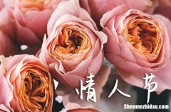 2024年2月14日情人節(jié)寄語(yǔ)大全情人節(jié)卡片寄語(yǔ)簡(jiǎn)短