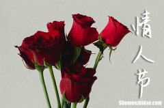 給老婆的情人節(jié)祝福語浪漫2024祝福老婆語句簡短唯美