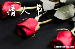 給老婆的情人節(jié)祝福語浪漫2024情人節(jié)對老婆說的話