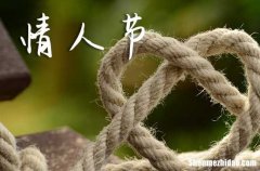 2.14情人節(jié)給女友的祝福語2024情人節(jié)最暖心短句