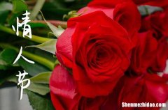 2024年情人節(jié)給老婆祝福語(yǔ)情人節(jié)給老婆祝福語(yǔ)最溫馨的話(huà)簡(jiǎn)短