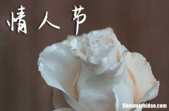 2024年情人節(jié)祝福情人節(jié)祝福語(yǔ)最溫馨的話(huà)