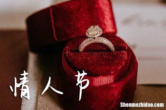 2024年2月14日情人节祝福语情人节经典佳句