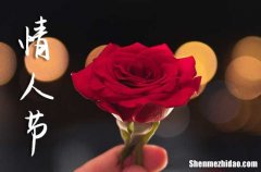 搞笑情人節(jié)祝福語2024[1] 情人節(jié)幽默句子快樂的情話