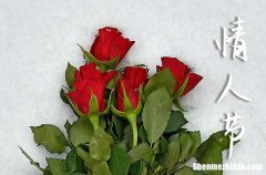 2024經(jīng)典情人節(jié)祝福情人節(jié)祝福語最溫馨的話