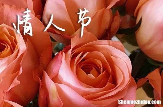2024给女朋友的情人节祝福语情人节送给女朋友的话