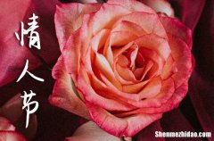 2024年情人節(jié)搞笑祝福語短信大全[1]情人節(jié)祝福語最溫馨的話