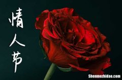 2024年2.14情人節(jié)快樂祝福語送給情人節(jié)的新年祝福語