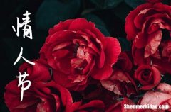 2024年情人節(jié)的祝福語情人節(jié)的祝福語大全簡短的