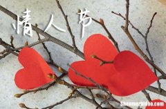 2024年2月情人節(jié)簡短祝福語情人祝福短信最溫馨的話