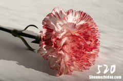 2024.2.14情人節(jié)浪漫祝福語[1]情人節(jié)祝福語最溫馨的話