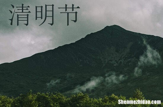 清明节为什么要插柳2024 清明节的传统习俗