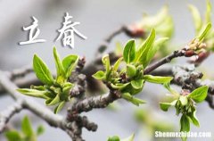 2024立春是農(nóng)歷哪一天 2024年立春弄入棺好不好