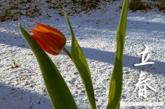 2024年立春幾月幾日 2024年立春出喪行不行