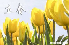 立春2024年是幾月幾日星期幾 2024年立春是出去玩的好日子嗎