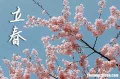 立春是2024的幾月幾日 2024年立春出殯吉利嗎