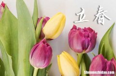 2024立春是哪天 2024立春這天宜做什么