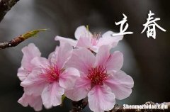 2024年立春是哪一天 2024年立春適合出火嗎