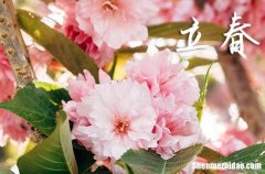 2024年立春是幾月幾日 2024立春出行好嗎