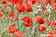 2024年立春是多少號 2024立春是黃道吉日嗎