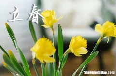 2024立春是農(nóng)歷哪一天 2024立春這天宜做什么