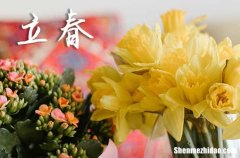 2024年立春是幾月幾日 2024年立春辦壽宴行嗎