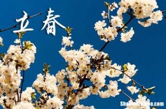 立春是2024的幾月幾日 2024立春這天宜做什么
