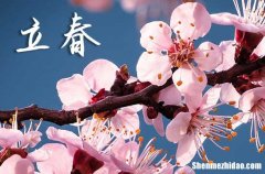 2024年立春幾月幾日 2024年立春弄喝喜酒好嗎