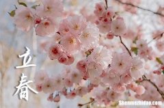 立春是2024的幾月幾日 2024年立春弄回娘家可以嗎