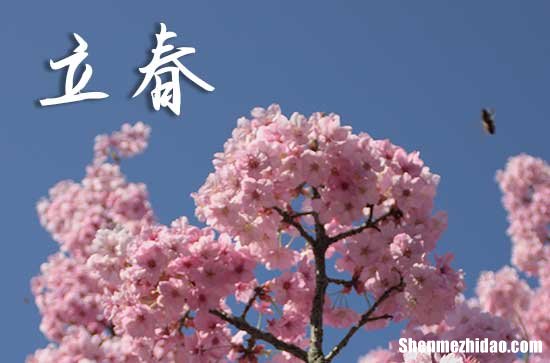 2024立春是哪天 2024年立春安碓磑可以嗎