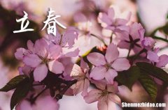 2024年立春是多少号 2024立春那天安置床铺好吗