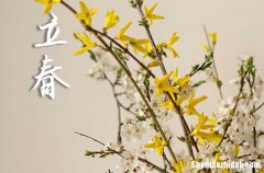 2024年立春是多少號(hào) 2024立春那天安裝家電好嗎