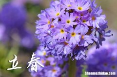 2024年立春是什么時(shí)候時(shí)間 2024年立春安裝窗簾吉祥嗎