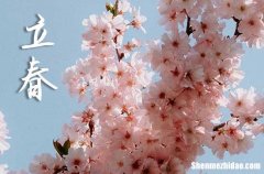 2024年什么時候立春 2024年立春弄安門好不好