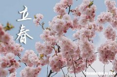 2024年立春是具體哪一天 2024年立春這天日子怎樣