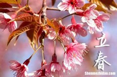 立春是幾月幾號2024年 2024年立春弄封頂好嗎